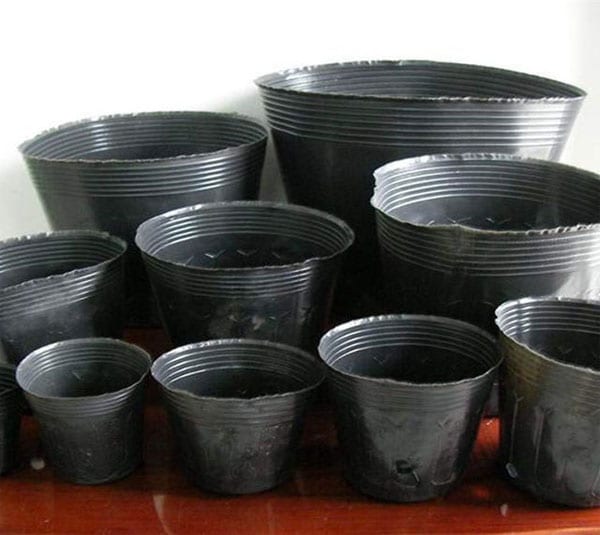 Túi ươm, Bầu ươm cây giống cây hoa