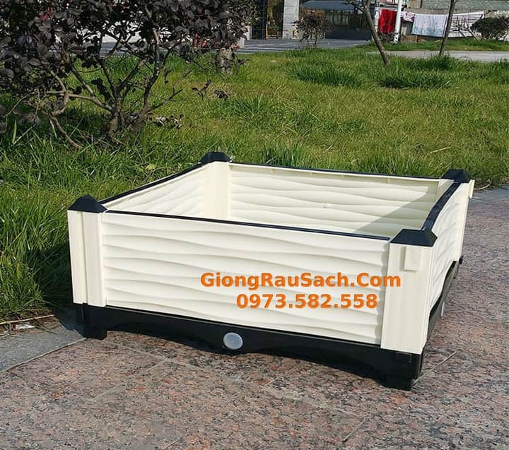 Chậu ghép trồng cây thông minh 50x50x25cm