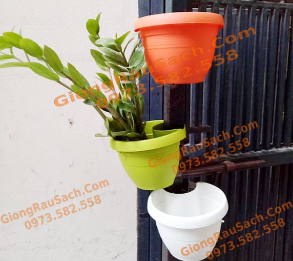 Chậu treo cột, cọc, hàng rào, thanh sắt thông minh