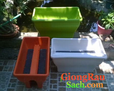 chau-kep-ban-cong