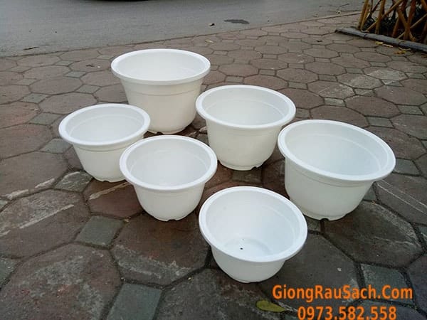 Chậu tròn trồng cây cảnh bằng nhựa giá rẻ