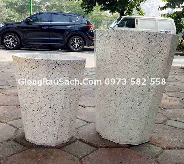 Chậu Trồng Cây Kim Cương