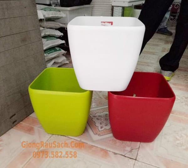 Chậu nhựa trồng hoa cây cảnh thông minh để bàn Cao Cấp