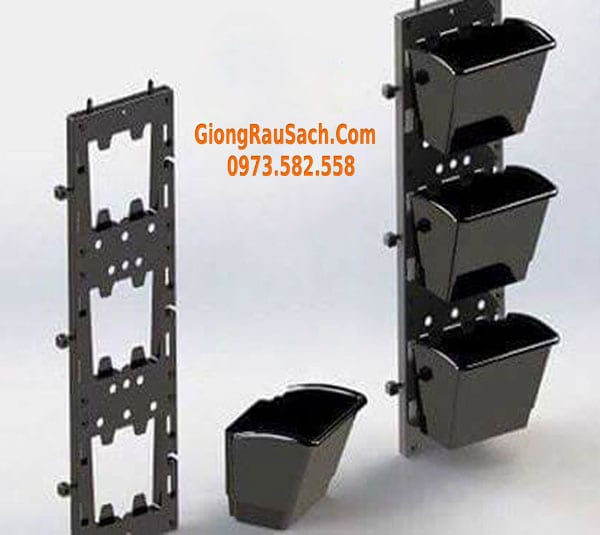 Bộ chậu vườn treo tường đứng hay module vườn tường đứng