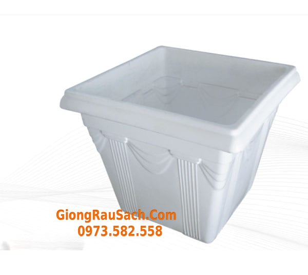 Chậu trồng cây hình vuông