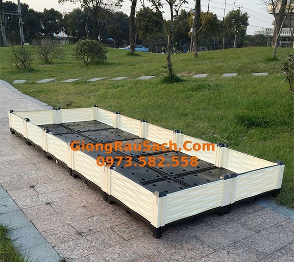 Luống ghép trồng rau thông minh 250x100x25