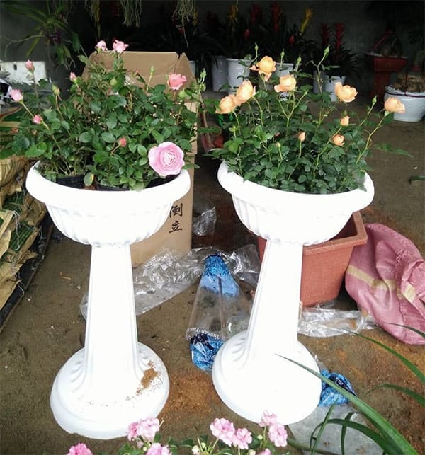Chậu ly nhựa hay đôn tròn nhựa trồng hoa cây cảnh