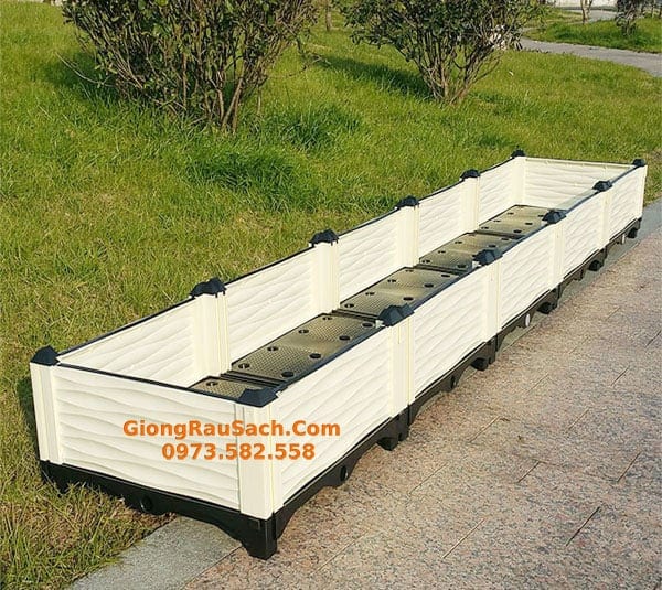 Chậu trồng rau lắp ghép 250x50x25