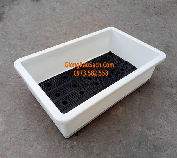 Chậu trồng rau thông minh cỡ lớn và sâu nhất màu trắng