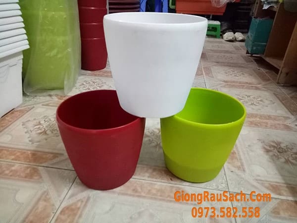 Chậu nhựa trồng cây hoa trong nhà có đế trống úng