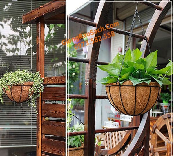 Chậu xơ dừa treo trồng hoa cây cảnh khung sắt đen