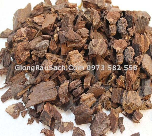 Vỏ gỗ cây thông trồng phong lan