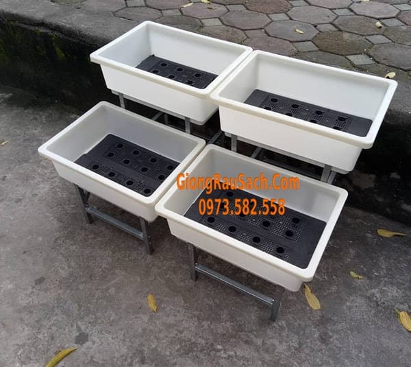 Combo Bộ kệ bậc thang 2 tầng 4 chậu 48*34 màu trắng