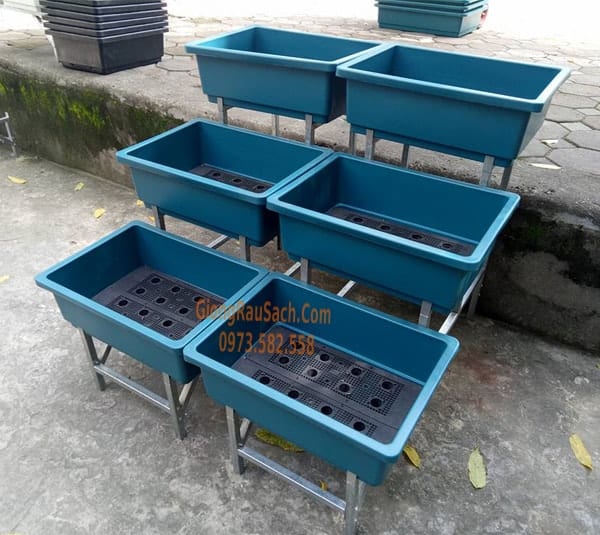 Combo Bộ kệ 3 tầng bậc thang 6 chậu 48*34 màu xanh