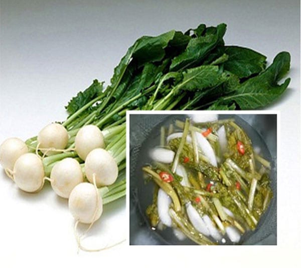 Củ cải Hà Nội