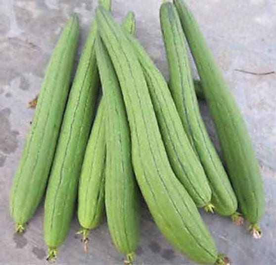 Mướp hương