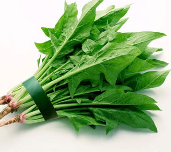 Rau cải bó xôi
