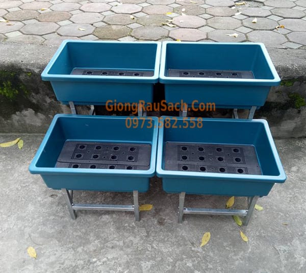 Combo Bộ kệ bậc thang 2 tầng 4 chậu 48*34 màu xanh
