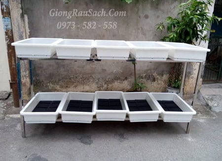 ke-inox-trong-rau-sach-san-thuong