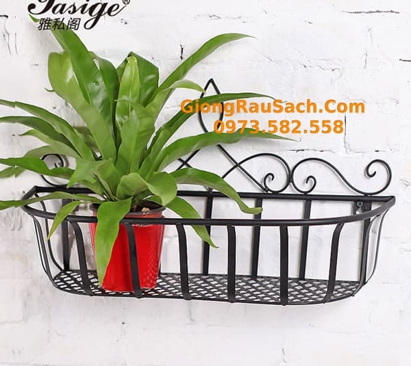 Kệ sắt nghệ thuật ốp tường dài