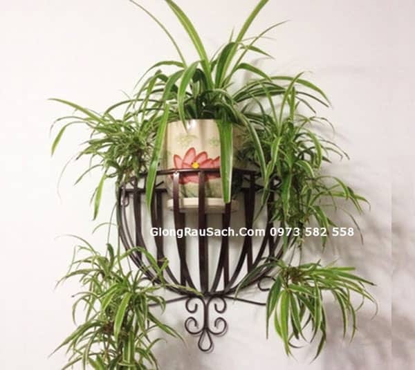 Kệ sắt nghệ thuật ốp tường bán nguyệt