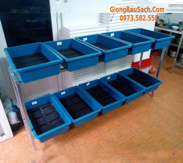 Kệ trồng rau sạch 2 tầng 10 chậu đại ống hộp Kẽm