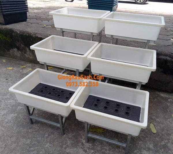 Combo Bộ kệ 3 tầng bậc thang 6 chậu 48*34 màu trắng
