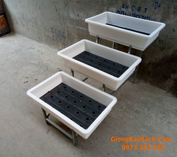 Kệ bậc thang 3 tầng - 3 chậu đại 68 trồng rau