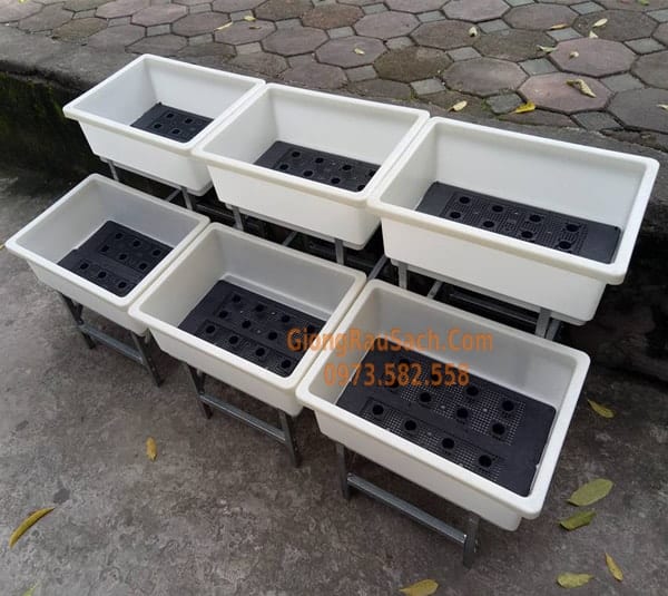 Combo Bộ kệ bậc thang 2 tầng  6 chậu 48*34 màu trắng