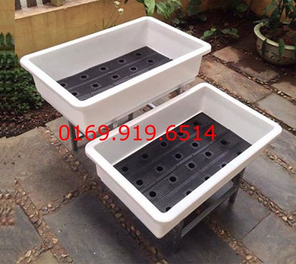 Kệ trồng rau bậc thang 2 tầng chậu thông minh Đại 68