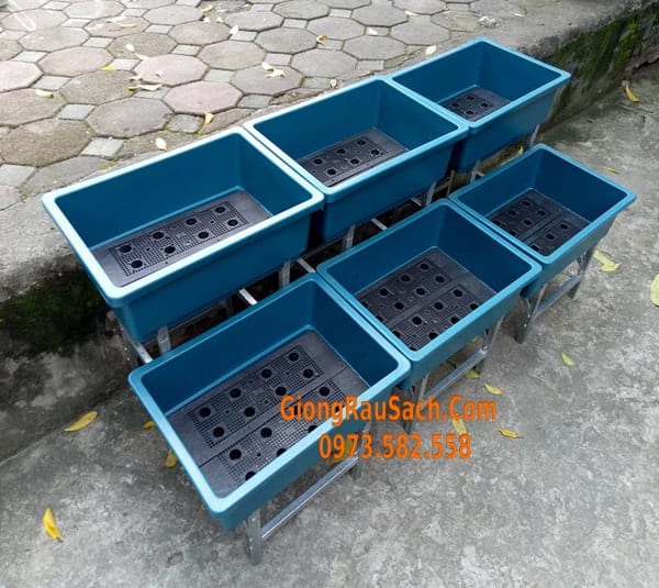 Combo Bộ kệ bậc thang 2 tầng 6 chậu 48*34 màu xanh