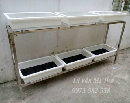 ke-trong-rau-sach-san-thuong