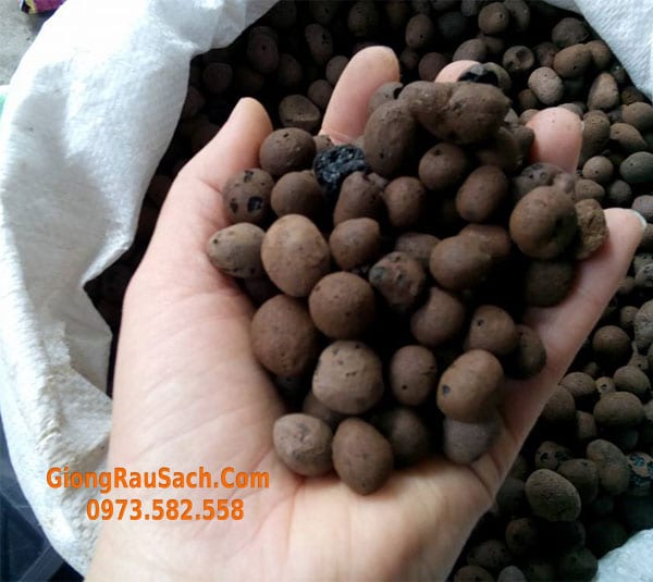Sỏi nhẹ, đất sét nung trồng rau sạch, rau mầm, aquaponics, lan, thủy canh…
