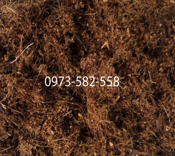 Xơ dừa đã qua xử lý trồng cây trồng rau thủy canh