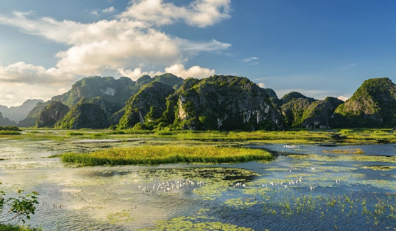 Travel Guide to Van Long Nature Reserve